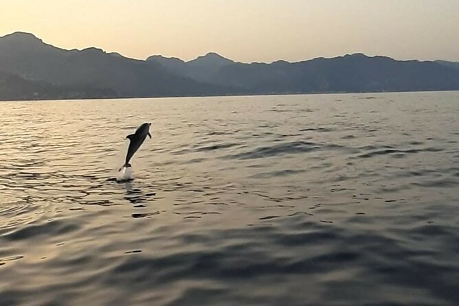 2.5 Hours Sunset Boat Tour in Search of Dolphins - Entering The Water: What This 2.5-Hour Sunset Cruise Is Like
