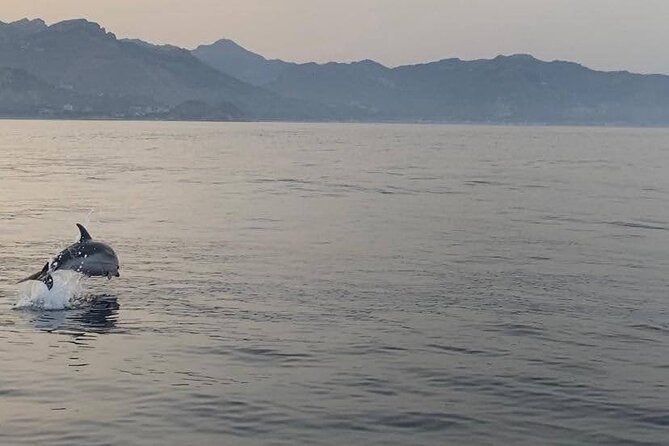 2.5 Hours Sunset Boat Tour in Search of Dolphins - Captain Energy and Onboard Vibe: Small Group, Big Focus