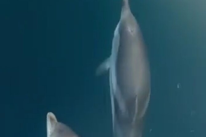 2.5 Hours Sunset Boat Tour in Search of Dolphins - Giardini Naxos to Isola Bella: The First Leg of the Cruise
