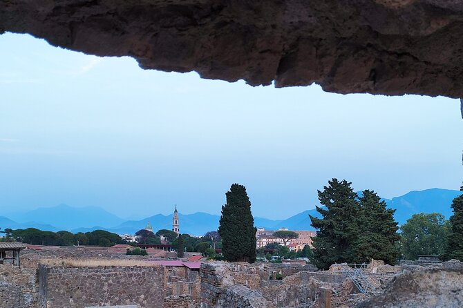 2 Hours Private Tour in Pompeii with Archaeologist - Pompeii in 2 hours: why this format works