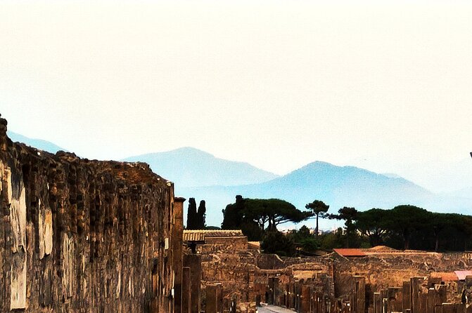 2 Hours Private Tour in Pompeii with Archaeologist - Stop 1: Palestra Grande and what the biggest gym tells you