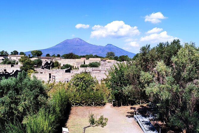 2 Hours Private Tour in Pompeii with Archaeologist - Stop 2: Anfiteatro Romano and the theater of everyday drama