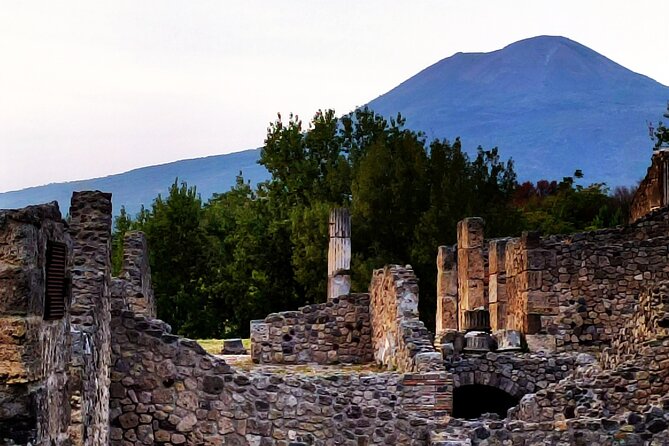 2 Hours Private Tour in Pompeii with Archaeologist - Stop 4: House of Venus in the Shell and frescoes you can actually read