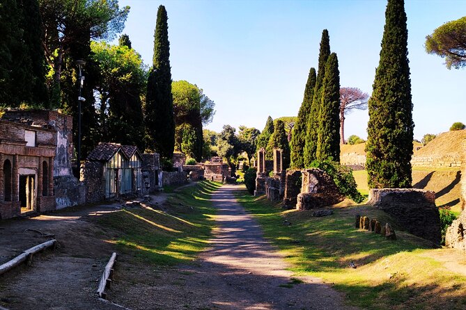 2 Hours Private Tour in Pompeii with Archaeologist - Pacing and the route: from Palestra Grande to Necropoli