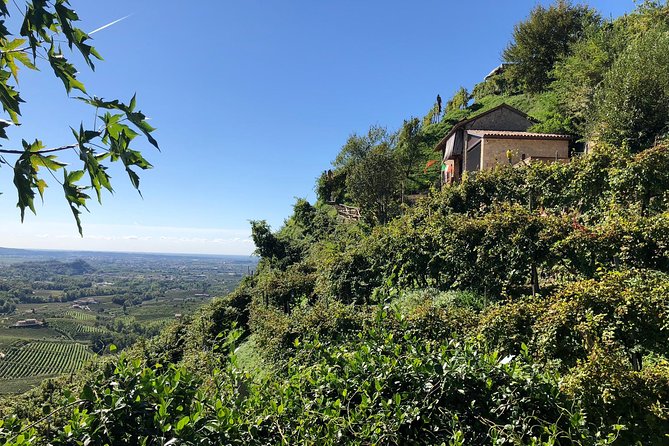 A Sparkling Day in the Prosecco Hills from Venice - Pieve di Soligo lunch at a family osteria: spiedo is the star