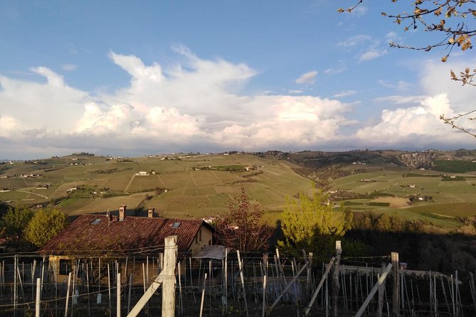 Abellonio Cascina Piccaluga - visit to the vineyards, to the wine tasting cellar - Key highlights at a glance