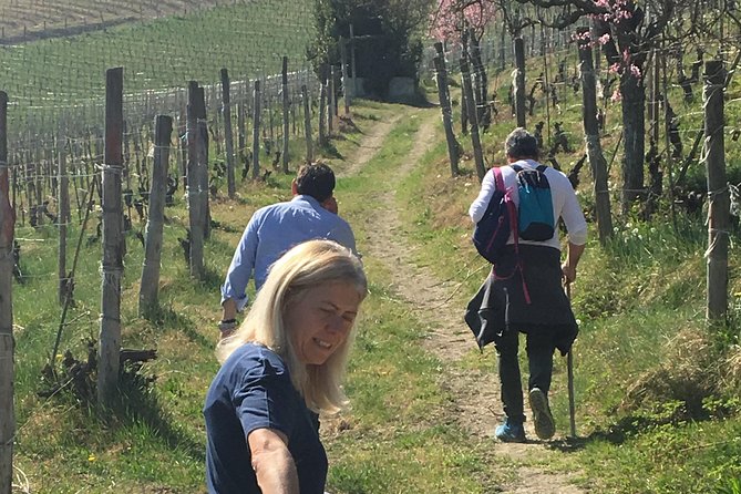 Abellonio Cascina Piccaluga - visit to the vineyards, to the wine tasting cellar - Vineyard walk with eco-sustainable farming and big views