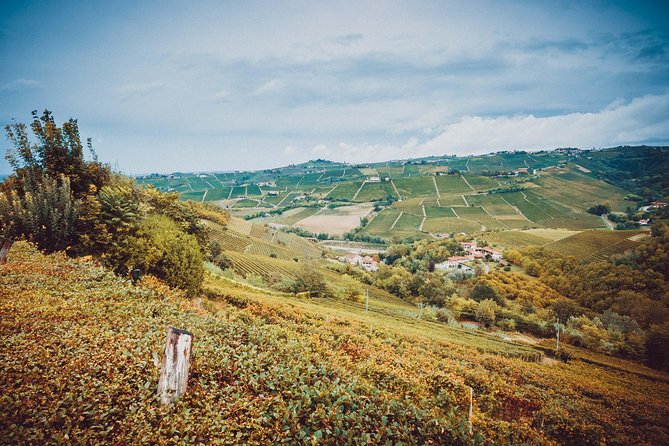 Abellonio Cascina Piccaluga - visit to the vineyards, to the wine tasting cellar - The tasting: 5 wines with individual platters and local pairings