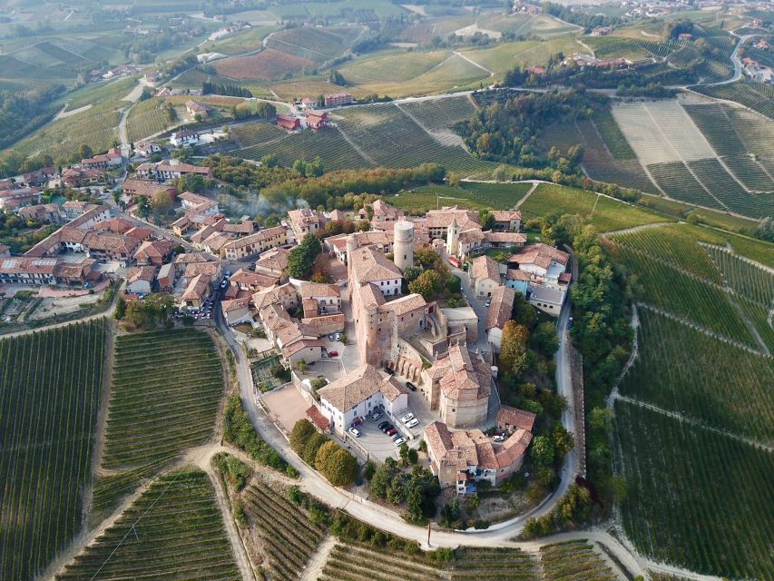 Alba: Truffle Hunting with Cheese, Truffle, & Wine Tastings - Key things to know before you go