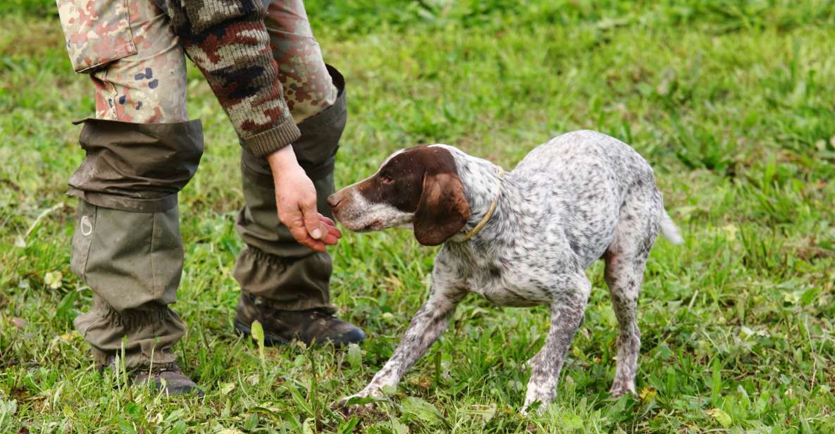 Alba: Truffle Hunting with Cheese, Truffle, & Wine Tastings - Black vs white truffles: what you’ll learn in the hunt