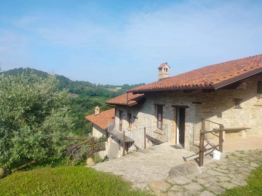 Alba: Truffle Hunting with Cheese, Truffle, & Wine Tastings - Price and value: what $93 covers, and what costs extra in cash