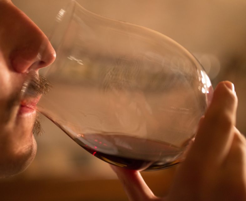 Alba: Truffle Hunting with Cheese, Truffle, & Wine Tastings - Who should book this truffle hunt and who should skip it