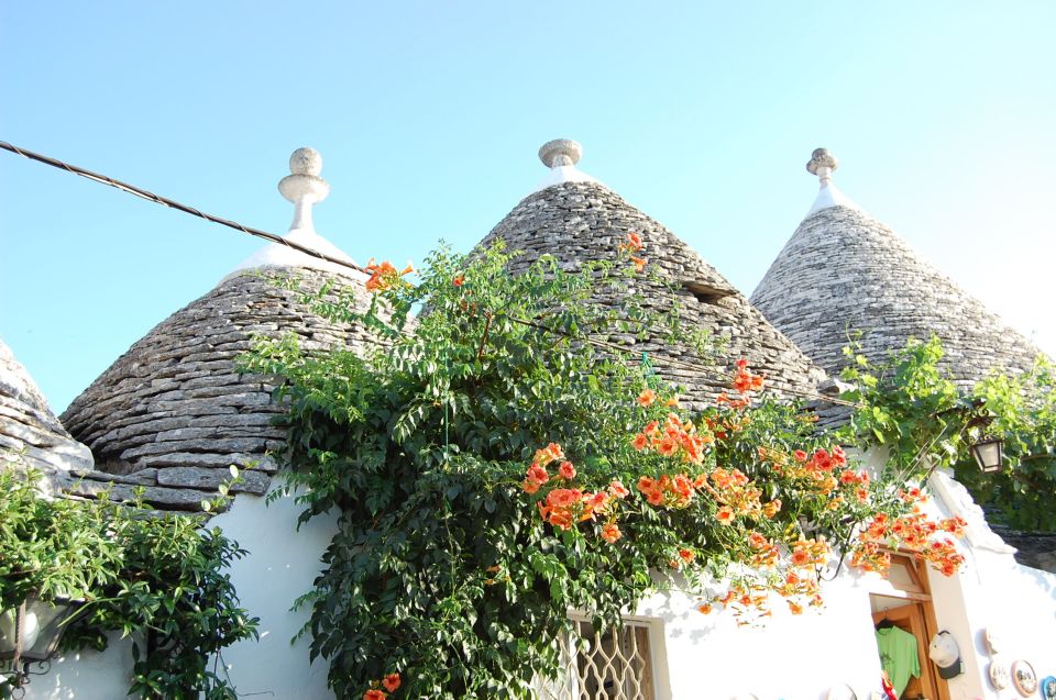 Alberobello: History Walking Tour - Rione Monti and Aia Piccola: your walk through two trulli worlds