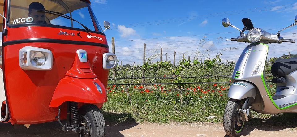 Alberobello: Private Tuk Tuk Tour with Audio Guide - The Photo Stops and Free Time in Aia Piccola and Rione Monti