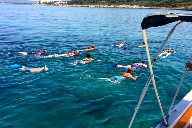 Alghero - Dolphin Watching and Guided Snorkeling (summer tour) - Guided snorkeling for first-timers (and people who hate snorkeling surprises)