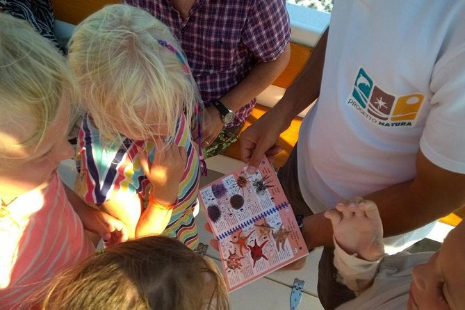 Alghero - Dolphin Watching and Guided Snorkeling (summer tour) - What it’s like on the boat: pacing, presentations, and comfort reality