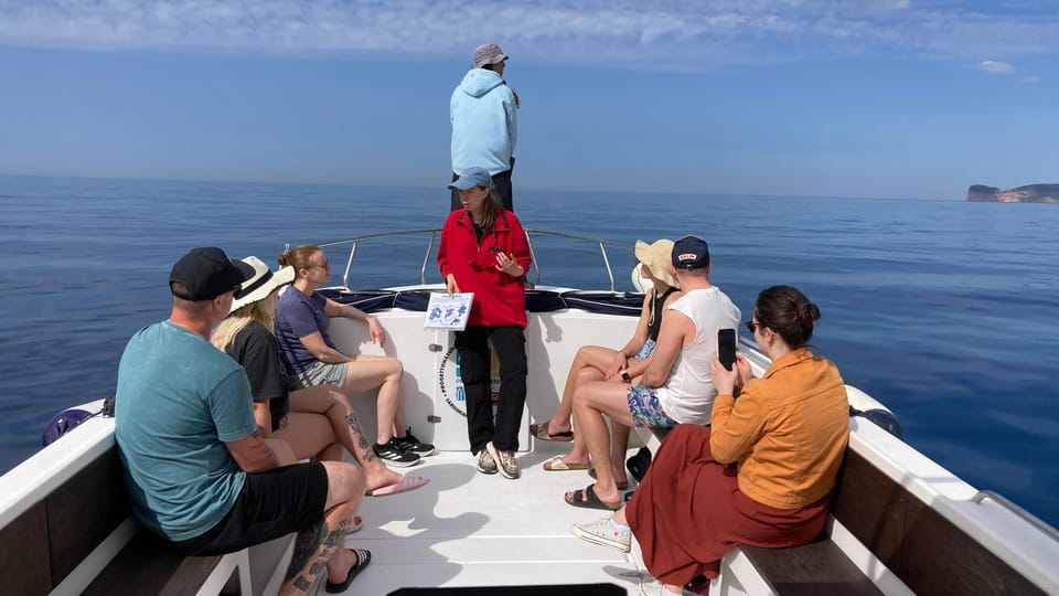 Alghero: Dolphin Watching Tour with Marine Researcher - The 4-Hour Tour in Summer: Snorkeling in Capo Caccia and Isola Piana (June–September)
