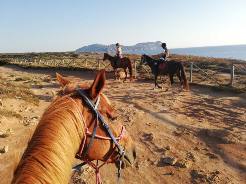 Alghero: Guided Horseback Ride at Lake Baratz & Porto Ferro - Quick takeaways before you go