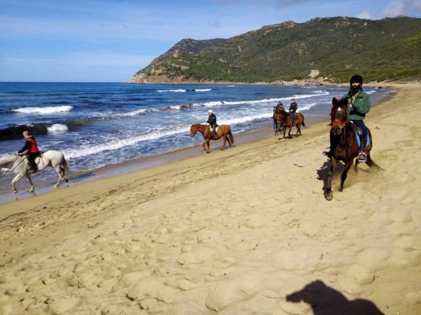 Alghero: Guided Horseback Ride at Lake Baratz & Porto Ferro - A calm horseback ride in small groups (10 riders max)