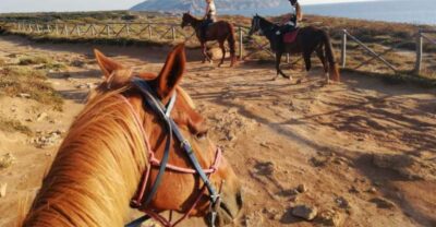 Alghero: Guided Horseback Ride at Lake Baratz & Porto Ferro - Lake Baratz: the only natural freshwater lake you’ll ride beside