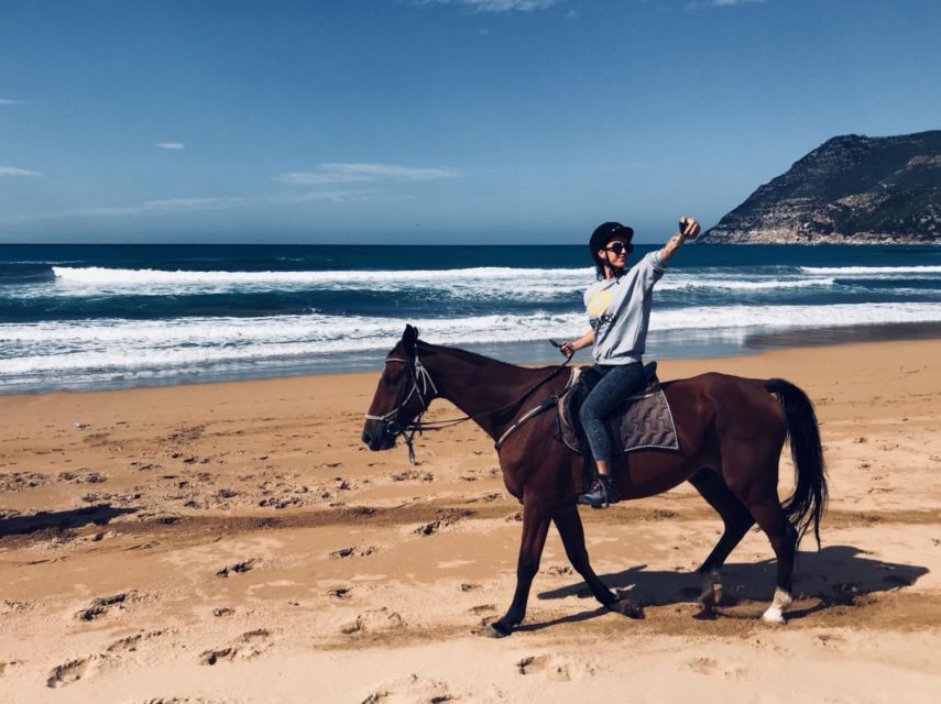 Alghero: Guided Horseback Ride at Lake Baratz & Porto Ferro - Price and value: is $98 worth it?