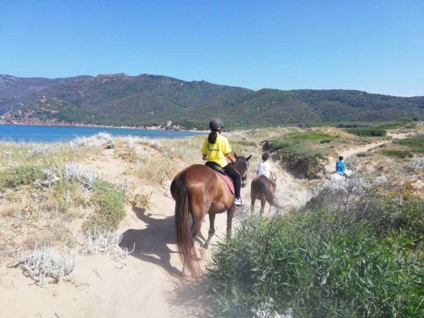 Alghero: Guided Horseback Ride at Lake Baratz & Porto Ferro - Pace, safety, and who this ride fits best