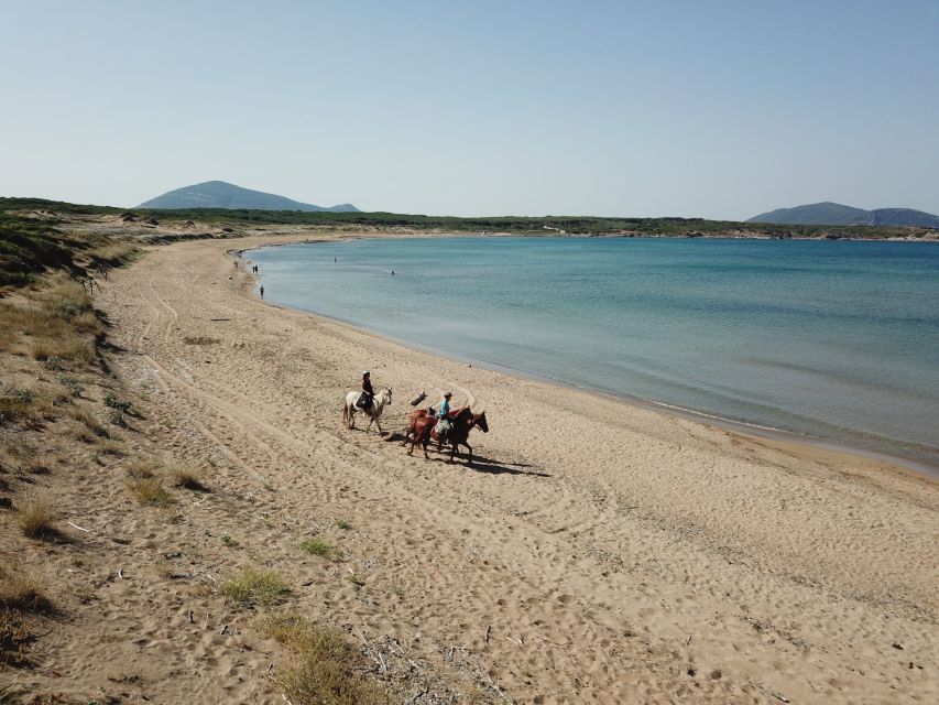 Alghero: Guided Horseback Ride at Lake Baratz & Porto Ferro - A few smart tips for your best ride