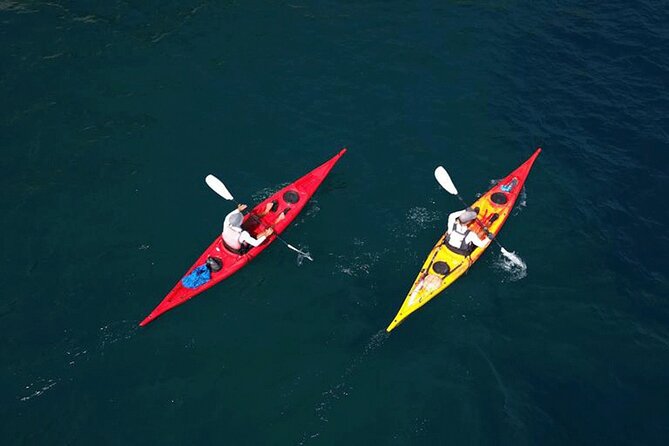Amalfi Coast : Kayak-Snorkeling tour Pandora Cave & Hidden beach - Acquachiara Beach Stop: The Swim-and-Snorkel Reset