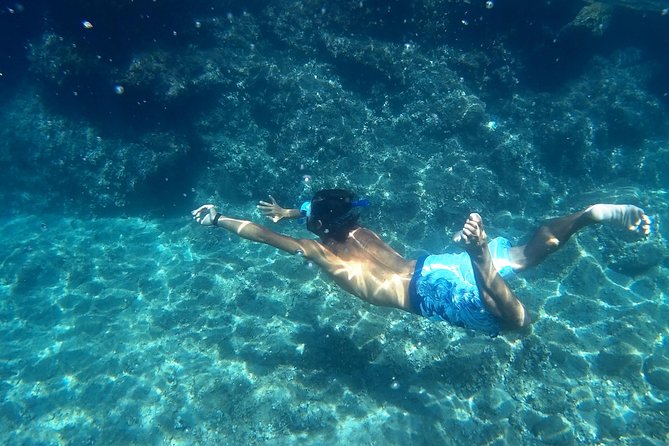 Amalfi Coast Kayak Tours from Marina del Cantone - Quick hits before you paddle