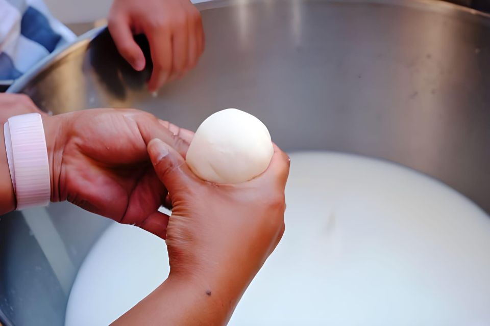 Amalfi Coast: Make Fresh Pasta, Mozzarella, & Tiramisù - Price and Value for $66.16: What You Get in 3 Hours