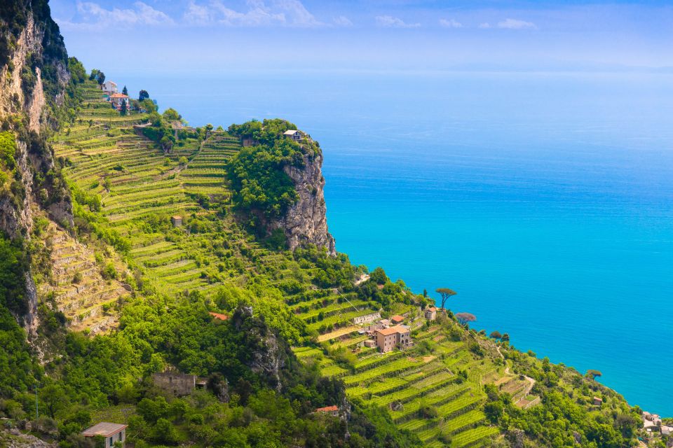 Amalfi: Cooking Class and Farmhouse Visit With Meal - Picking ingredients in the vegetable garden (real herbs, not supermarket shortcuts)