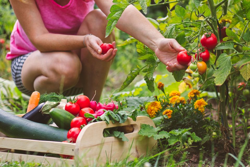 Amalfi: Cooking Class and Farmhouse Visit With Meal - Price and value on the Amalfi Coast