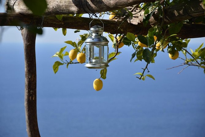 Amalfi Ravello Positano Tour - Key highlights to know before you go