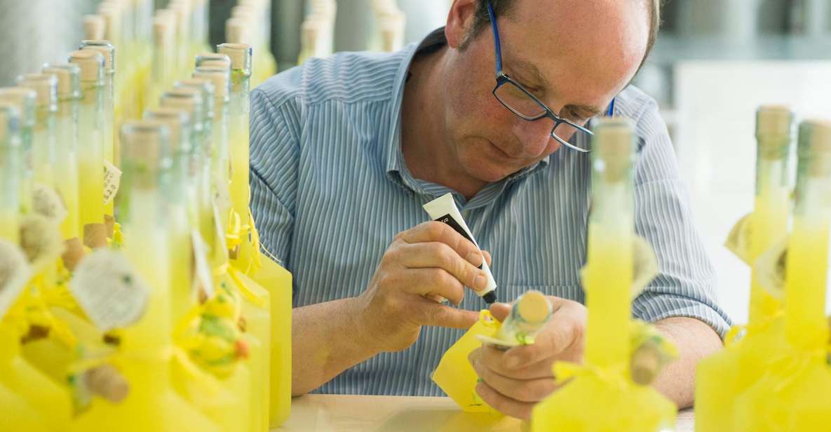 Amalfi: Vertical Lemon Farm Tour, Tastings, and Rural Museum - A six-generation family story you can actually question