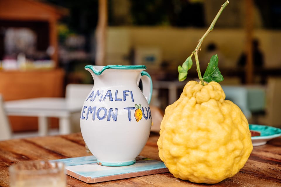Amalfi: Vertical Lemon Farm Tour, Tastings, and Rural Museum - Organic methods, the Protected Geographical Indication, and why it matters