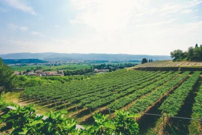 Amarone Wine-tasting Tour from Verona with Private Transportation - Getting to the meeting point and settling into the A/C van