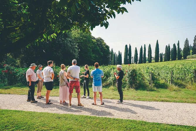 Amarone Wine-tasting Tour from Verona with Private Transportation - What you’ll actually learn by tasting Amarone and Ripasso