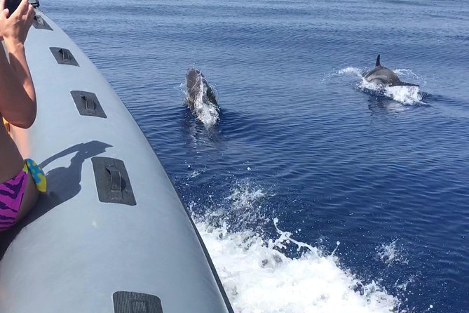 Amazing boat trip from Tropea to Capo Vaticano - 6 to 12 people - Who this trip suits best (and who should think twice)