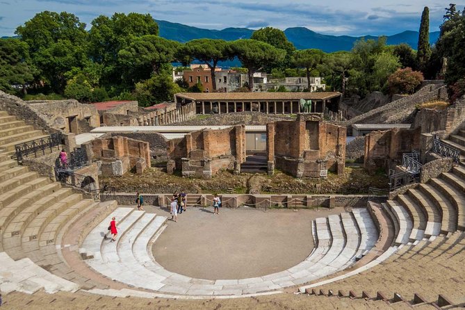 Ancient Pompeii Private Tour: Skip the Line & Kid-Friendly Option - The AD 79 setup: how your guide frames the ruins