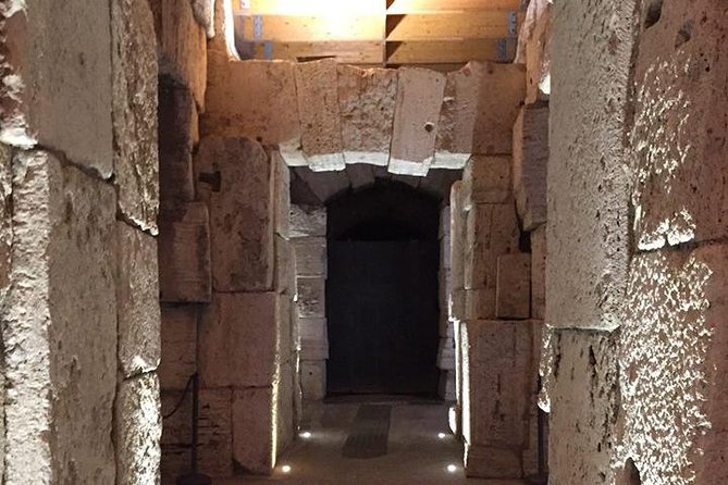 Ancient Rome and Colosseum Private Tour with Underground Chambers and Arena - Roman Forum: the politics, religion, and money center