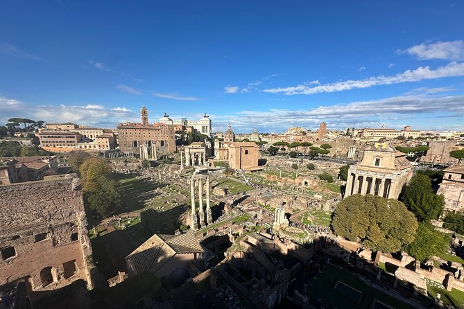 Ancient Rome Discovery: Colosseum, Forum, Palatine Guided Tour - Palatine Hill: imperial views and palace stories