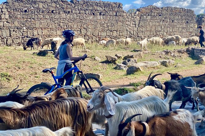 Appian Way & Aqueducts small group e-bike tour(catacombs & food) - Spa Ruins, Cecilia Metella, and the Scale Outside the Walls