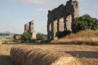 Appian Way E-bike Tour with Gourmet Picnic and Catacombs - Getting Your Bearings: Meeting Point, Time, and What You’re Really Riding
