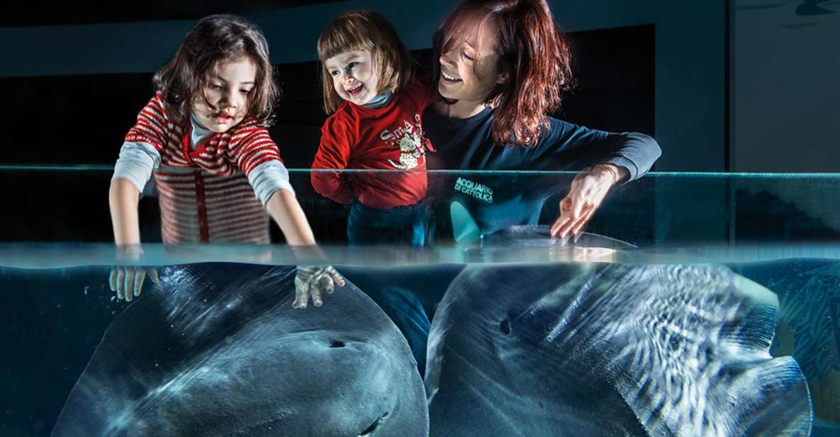 Aquarium of Cattolica Entry Ticket - Key highlights to plan around