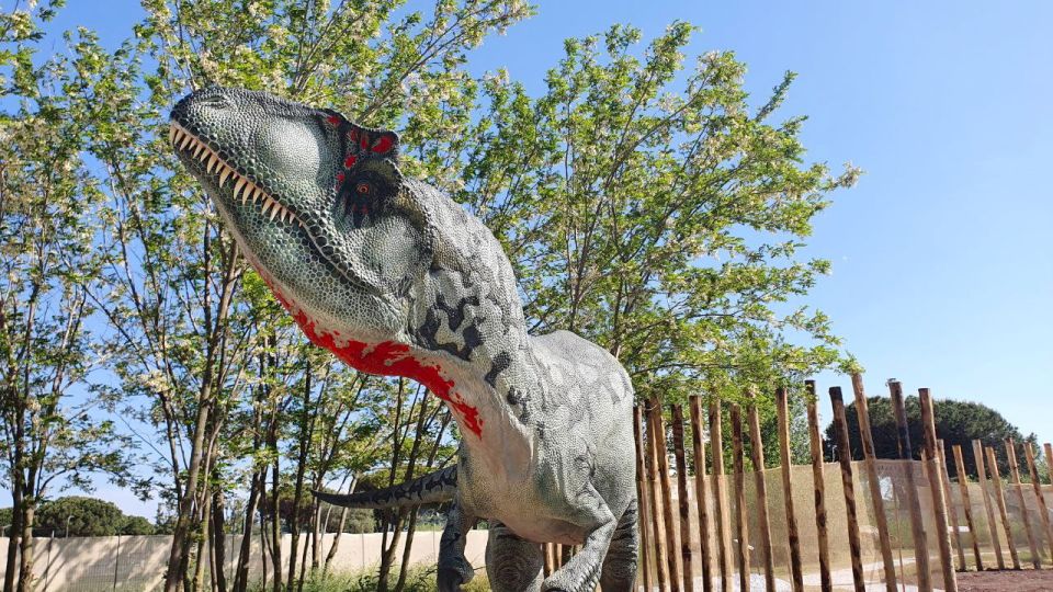 Aquarium of Cattolica Entry Ticket - Interactive features: mangroves, shark-mouth spectacle, and anti-plastic education
