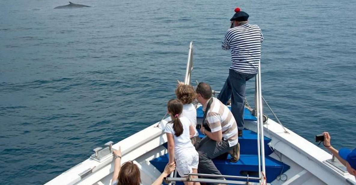 Aquarium of Genoa Ticket and Whale Watching Cruise - Key things to love before you go