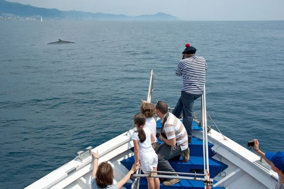 Aquarium of Genoa Ticket and Whale Watching Cruise - Aquarium of Genoa and Pelagos cruise: why this is a strong Genoa day