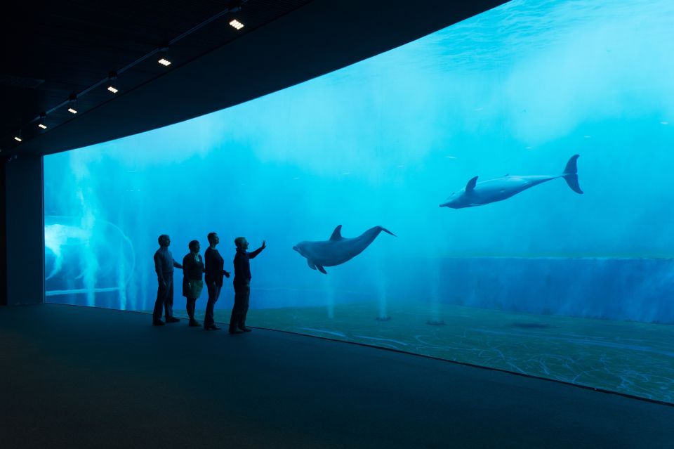 Aquarium of Genoa Ticket and Whale Watching Cruise - Price and value: what $85 buys you (and what it doesn’t)
