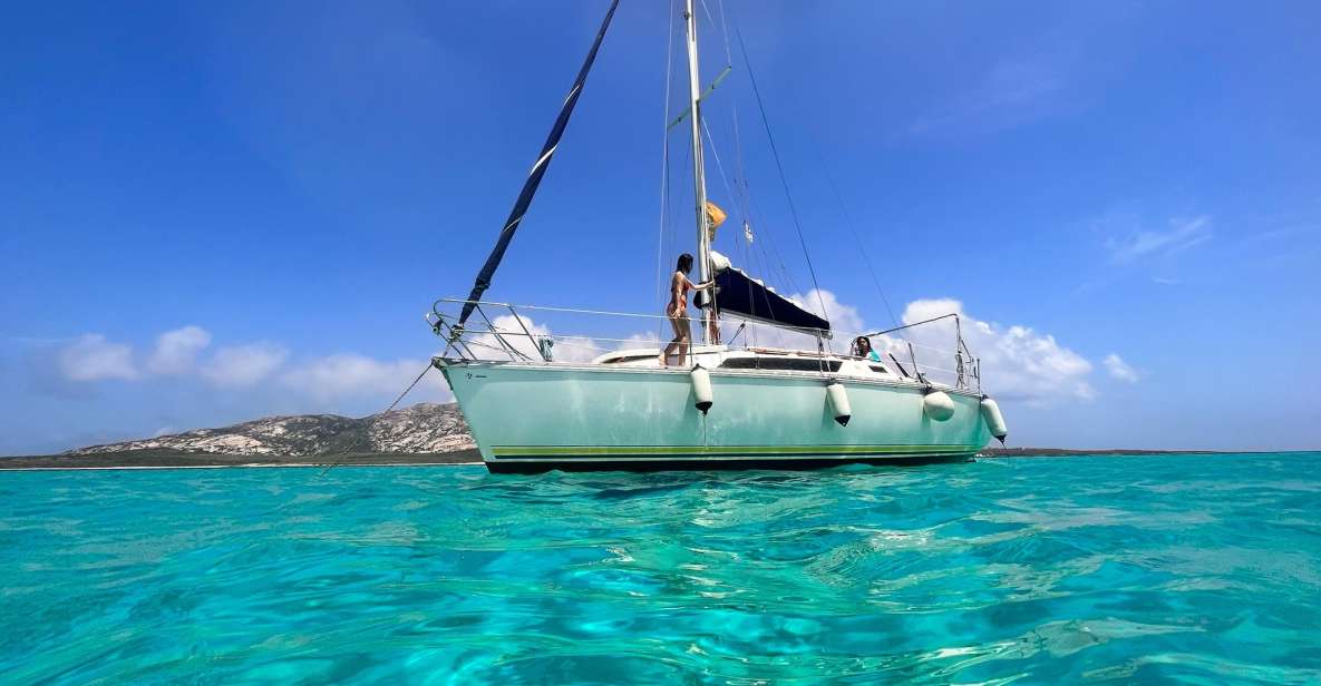 Asinara: Full Day Sailboat Excursion from Stintino - Key highlights you’ll care about