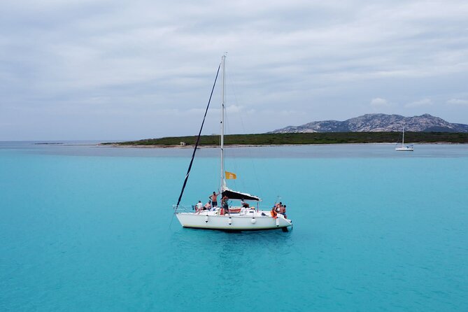 Asinara: Sailing trip in the park of Asinara - The 9:30 to 5:00 plan: bays, snorkeling breaks, aperitif, and fish lunch